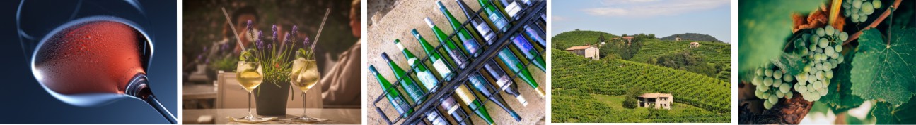 Wein/Prosecco/Sekt