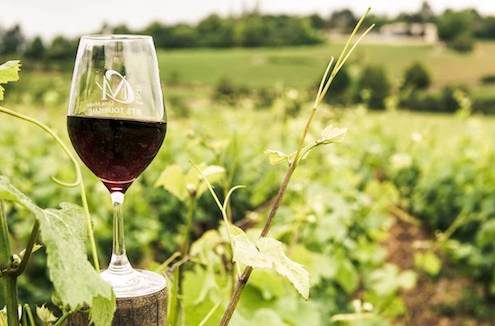 Rund um Wein