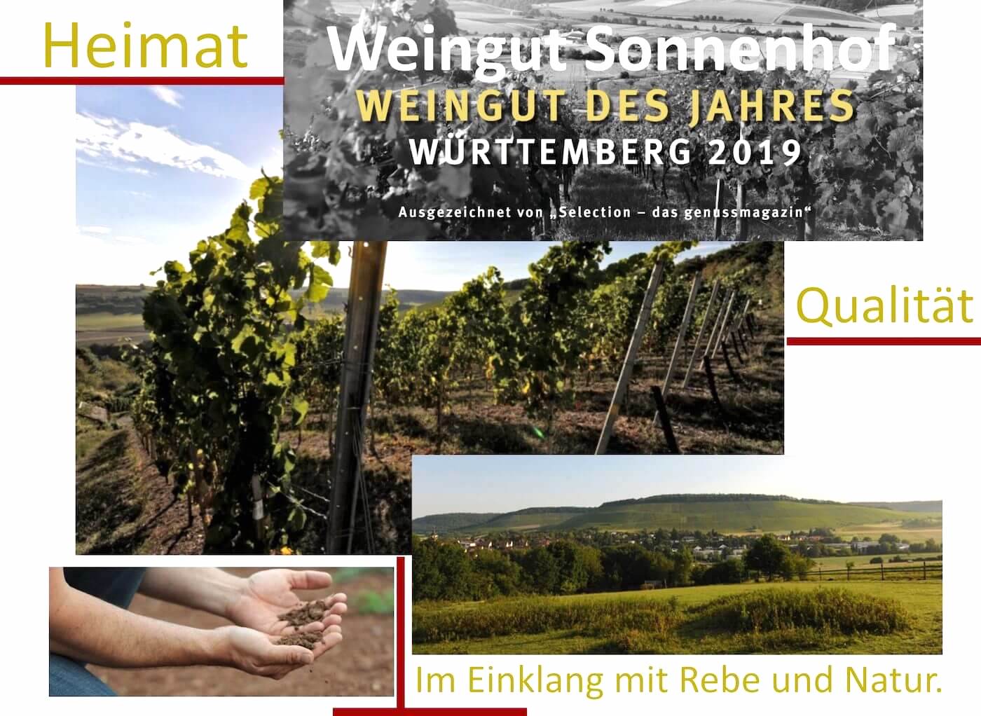 Weingut Sonnenhof