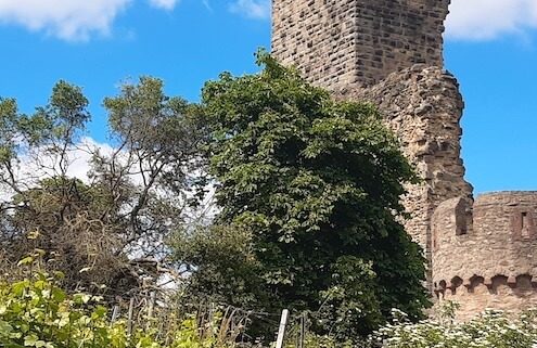 Burg in Wachenheim